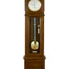lenzkirch-regulator-longcase-precision-clock image of a fine quality walnut precision regulartor clock by Lenzkirch with a silvered 24 hour observatory dial and gridiron oendulum